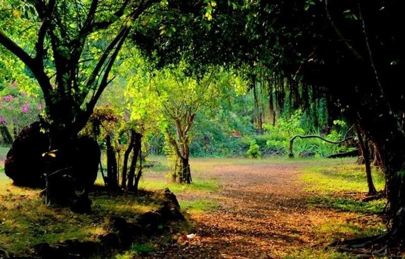 Khu du lịch Cao Minh Khu du lịch Cao Minh