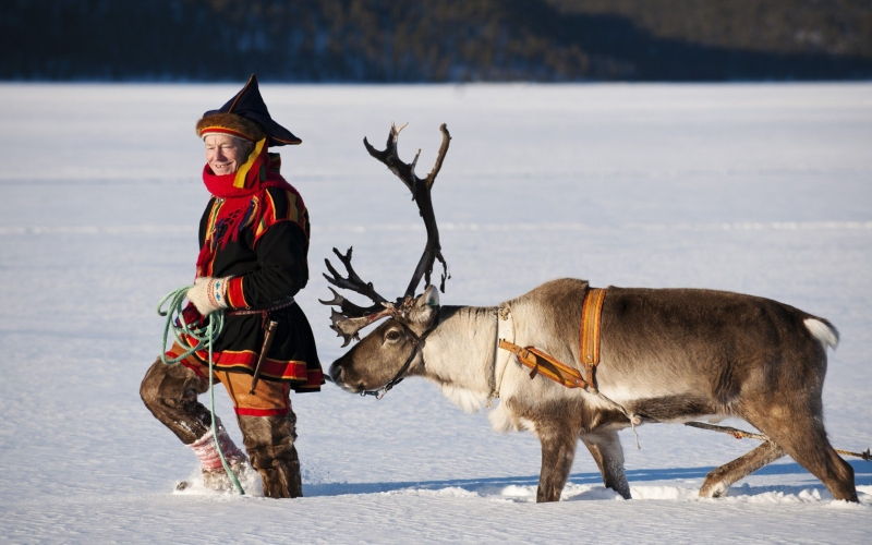 Kolt của người Sami, Phần Lan