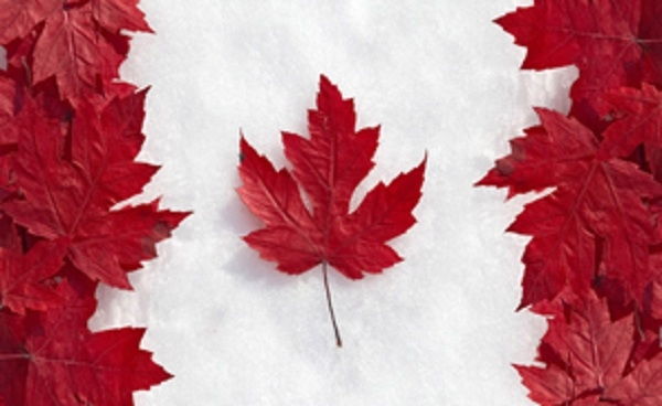 Lá phong - Biểu tượng của Canada