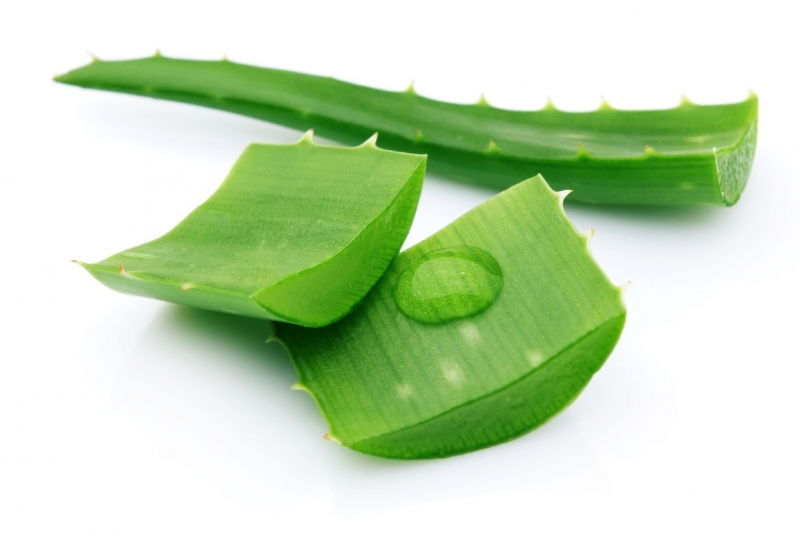 Làm mát gan, chữa hen suyễn, khớp, và mất ngủ