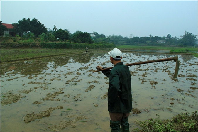 Lập dàn ý cho bài văn tả người hàng xóm