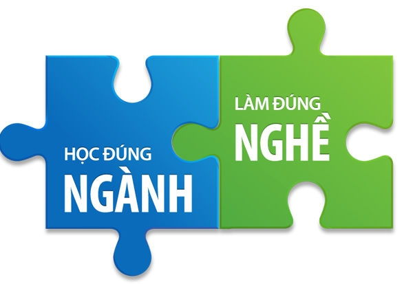 Lựa chọn ngành học