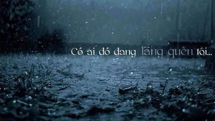 Luôn cảm thấy cô đối chọi và không ai hiểu mình Luôn cảm thấy cô đối chọi và không ai hiểu mình