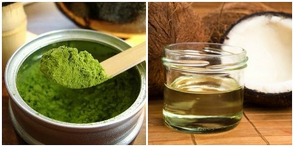 Mặt nạ bột trà xanh và dầu dừa Mặt nạ bột trà xanh và dầu dừa