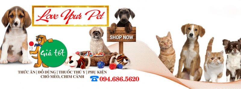 Mèo Cún Pet Shop