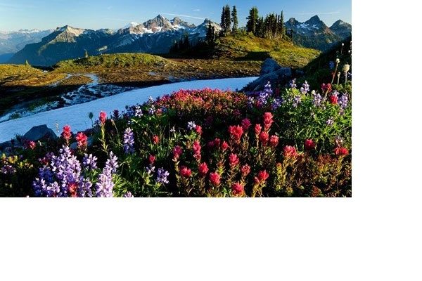Mount Rainier, Mỹ