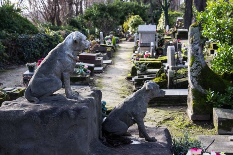 Nghĩa trang cho động vật đầu tiên trên thế giới