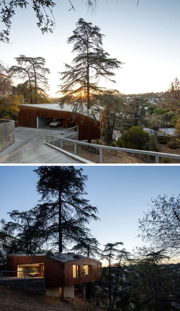 Ngôi nhà trên đồi ở Los Angeles xây quanh một cái cây (Mỹ)