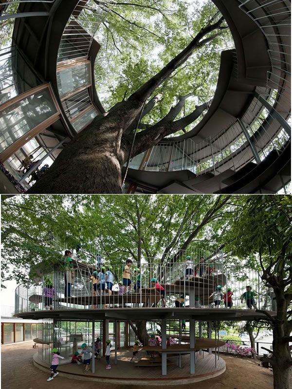 Ngôi trường được xây dựng quanh một cái cây là chiến tích lịch sử (Nhật Bản)
