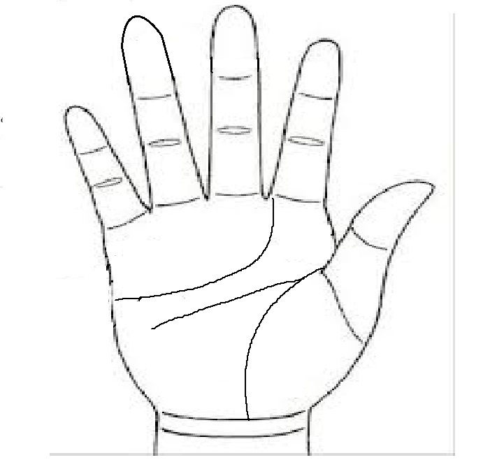 Ngón tay đeo nhẫn dài hơn ngón trỏ Ngón tay đeo nhẫn dài hơn ngón trỏ