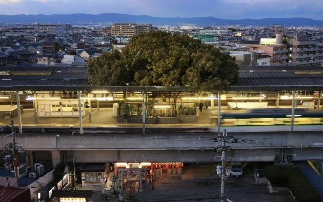Nhà ga xây quanh cái cây 700 trăm tuổi (Nhật Bản)