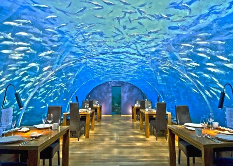Nhà hàng Ithaa Undersea ở Maldives