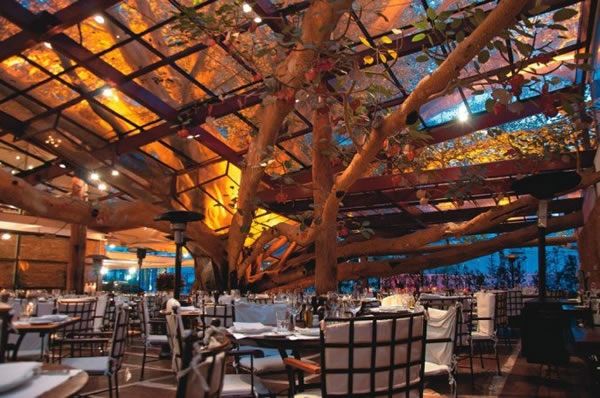 Nhà hàng được xây quanh cây vả trăm tuổi (Brazil)