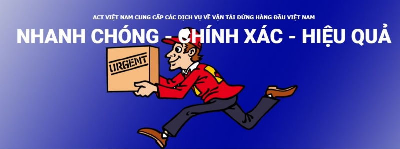 Nhân viên Sales Logistics - Công ty cổ phần thương mại và hợp tác quốc tế ACT Việt Nam