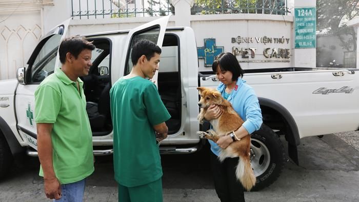 Petcare An Việt