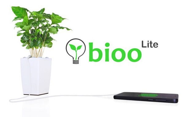 Pin sử dụng năng lượng sinh học từ thực vật