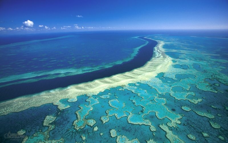 Rặng san hô Great Barrier (Úc)
