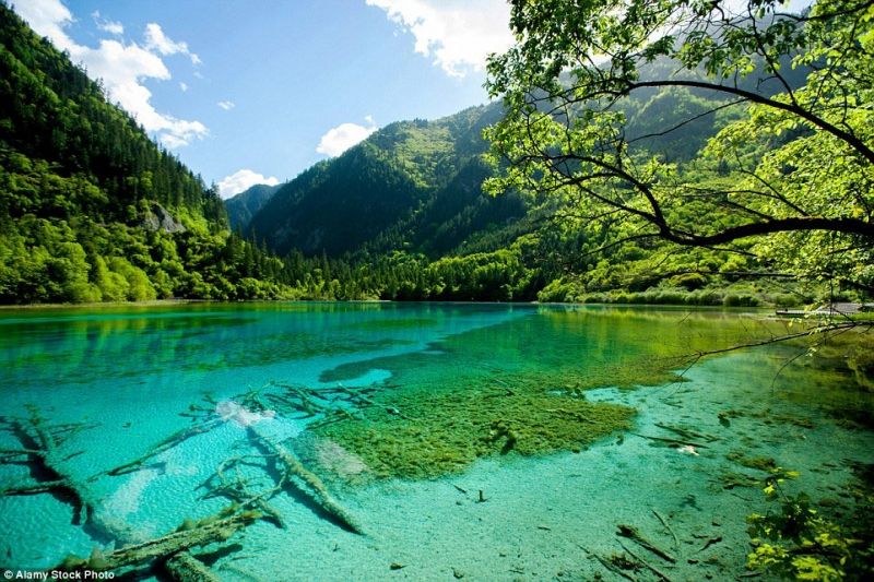 Rừng Jiuzhaigou, Trung Quốc