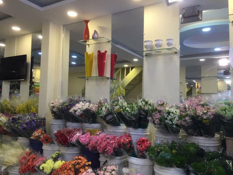 Shop Tâm Huy