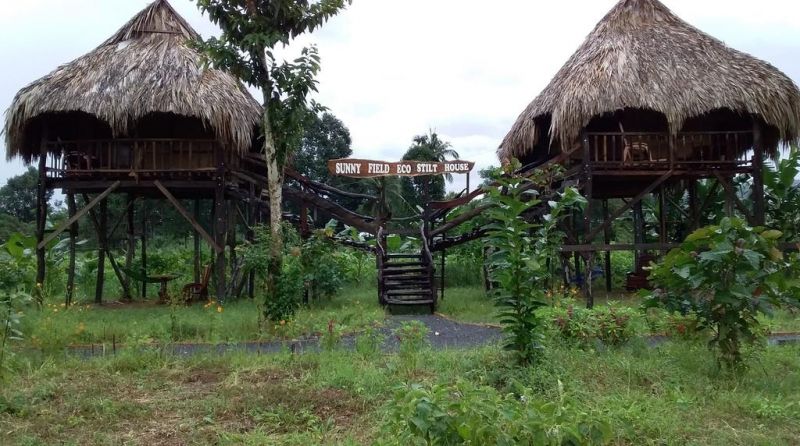 Sunny Field Eco Stilt House