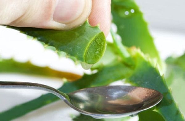 Tác dụng xổ, nhuận trường