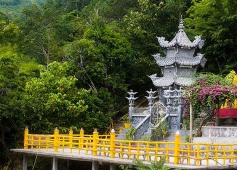 Thăm cây đa ba gốc - chùa Bửu Quang linh thiêng