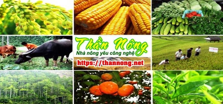 Thần Nông's Blog - Nhà nông yêu công nghệ | Trang thông tin nông nghiệp số 1 Việt Nam