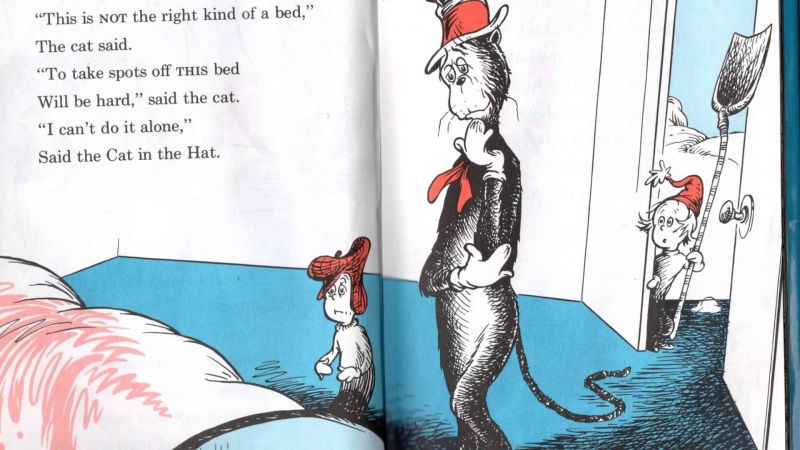 The Cat in the Hat - Dr Seuss