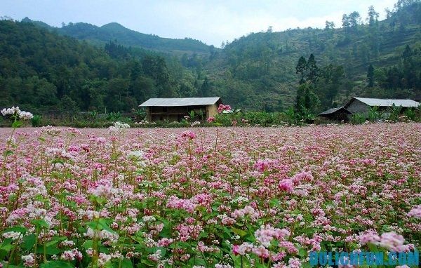 Thời điểm đi?