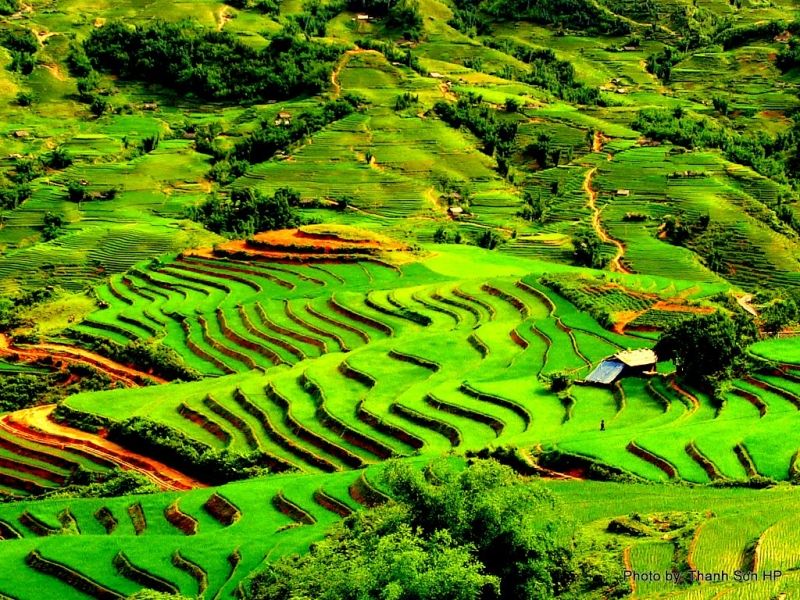 Thung lũng Mường Hoa - Lào Cai