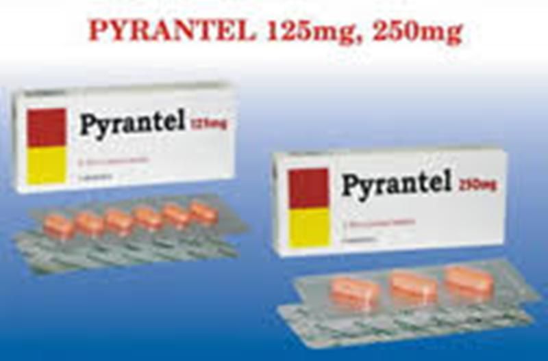 Thuốc tẩy giun Pyrantel