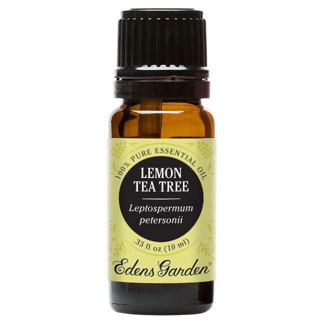 Tinh dầu tràm trà Lemon Tea Tree Essential Oil của Edens garden