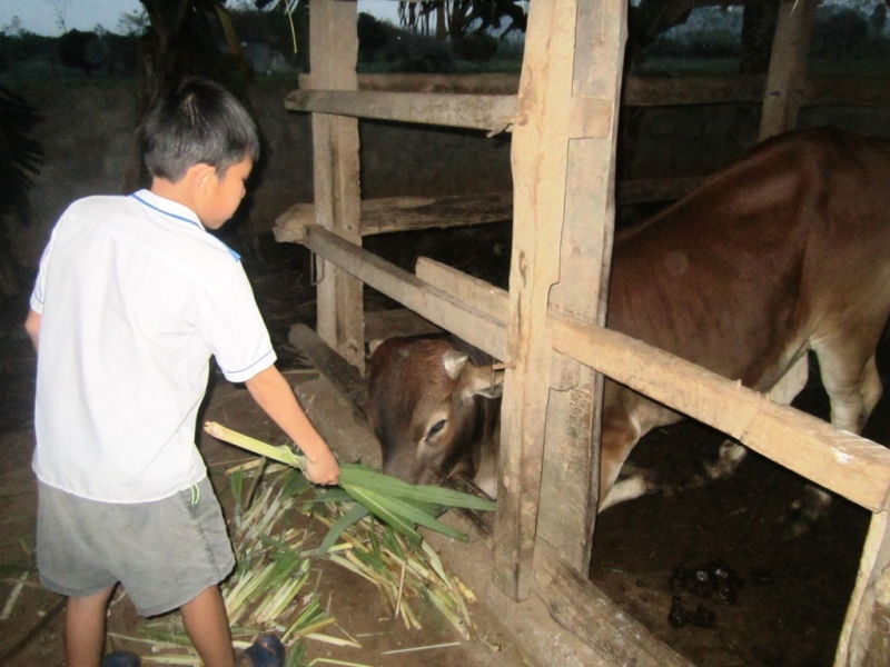 Tình huống sư phạm thường gặp: Phụ huynh xin cho con thôi học