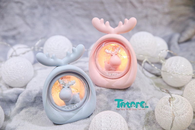 Totoro 1988 Nguyễn Đình Chiểu