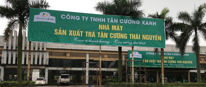 Trà xanh túi lọc Tân Cương Xanh