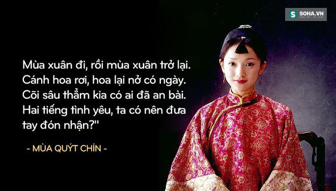 Tú Hòa - Mùa quýt chín Tú Hòa - Mùa quýt chín