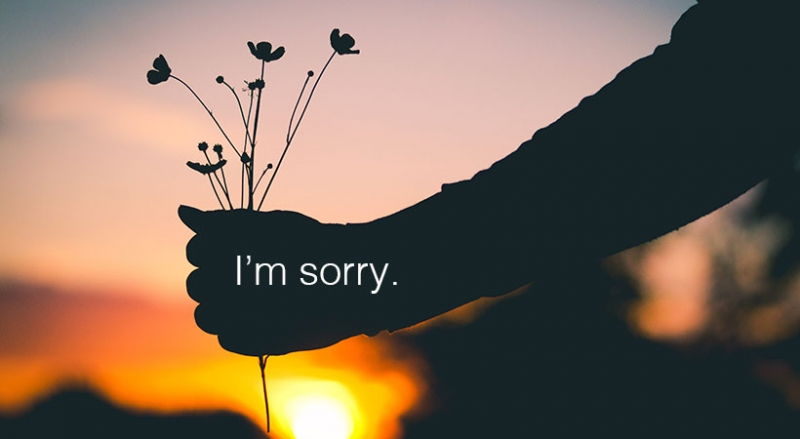 Và xin lỗi