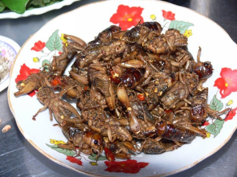 Ve sầu chiên giòn