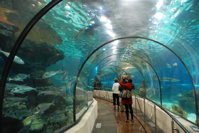 Vinpearl Aquarium Times City - Hà Nội