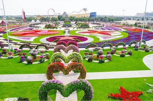 Vườn hoa diệu kỳ (Dubai Miracle Garden)