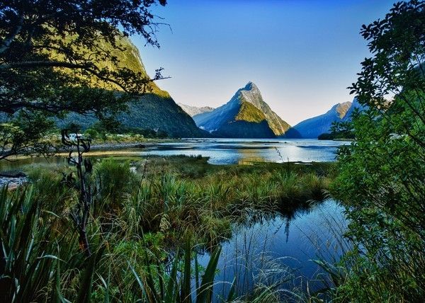 Vườn quốc gia Fiordland