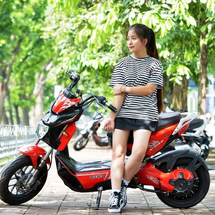 XE ĐIỆN VIỆT NAM