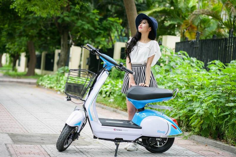 Xe đạp điện TenBike