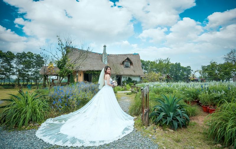 Ảnh viện Piano Ảnh viện Piano