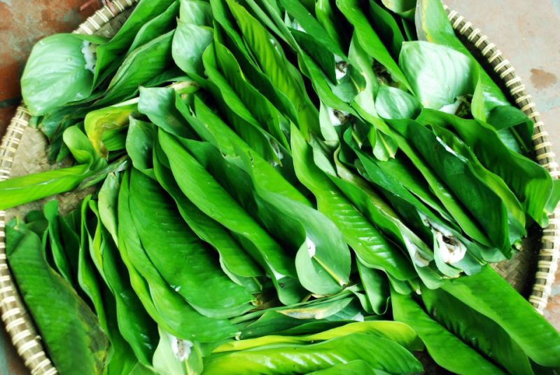 Bánh răng bừa Phú Nhi, Sơn Tây