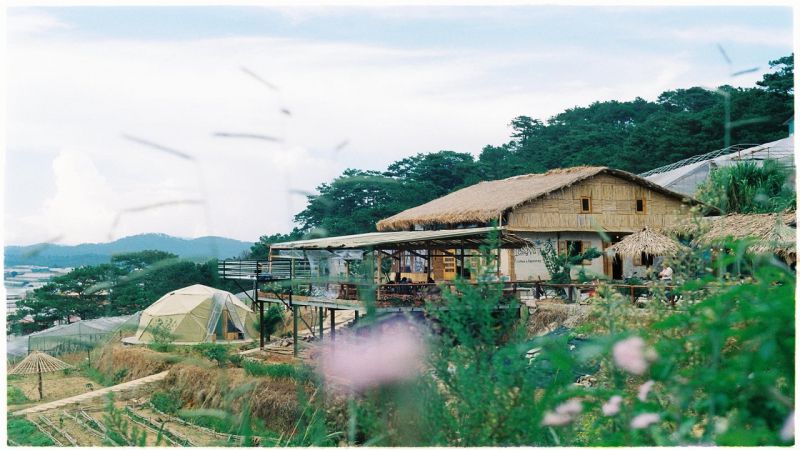 The Organic Life Homestay Bảo Lộc