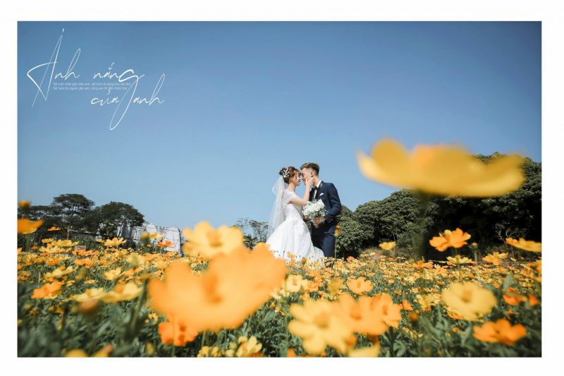 Ảnh Viện Áo Cưới Sophia