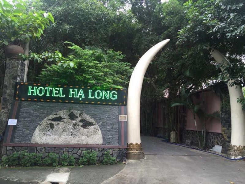 Khách sạn Hạ Long