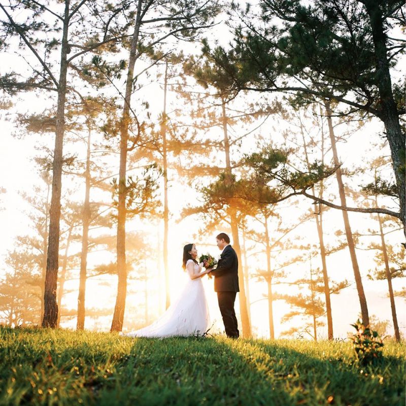 The Studio by Đông Nhật The Studio by Đông Nhật