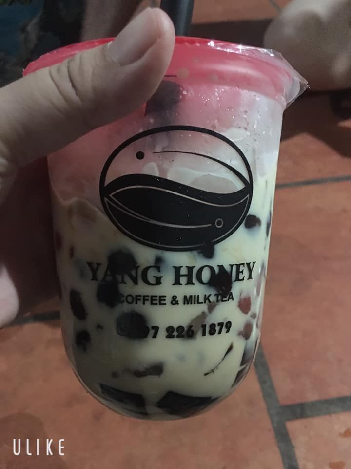 Yang Honey Coffee & Milk Tee
